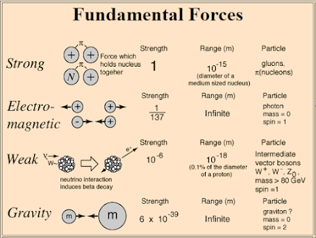 The Fundamental Forces