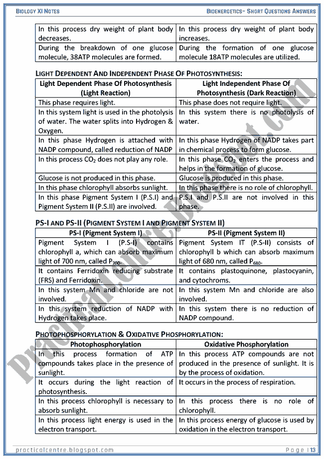 Bioenergetics - Short Questions Answers - Biology XI