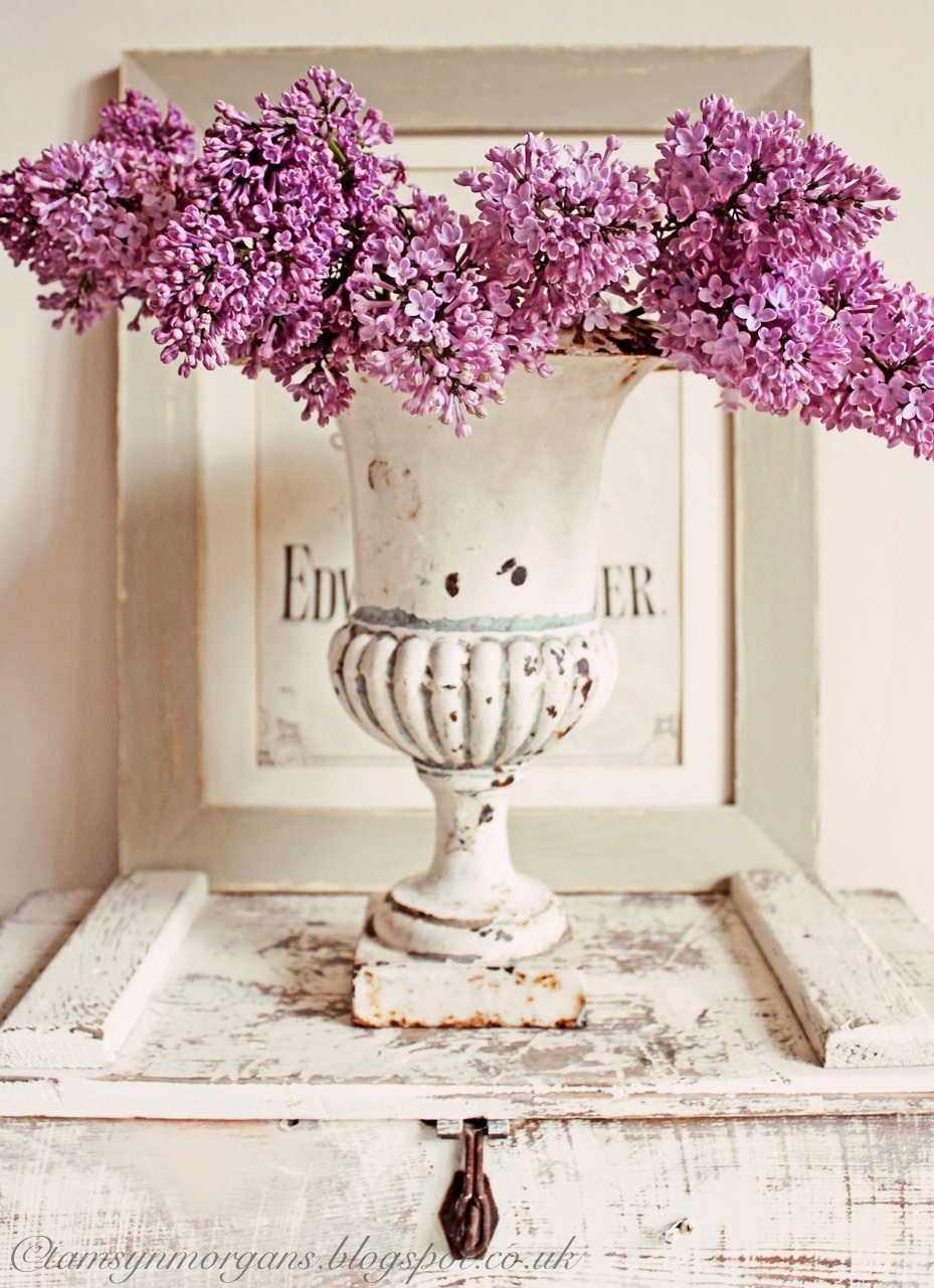 Lilacs in a rusty urn... | The Villa on Mount Pleasant