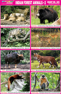 Indian Forest Animal Chart