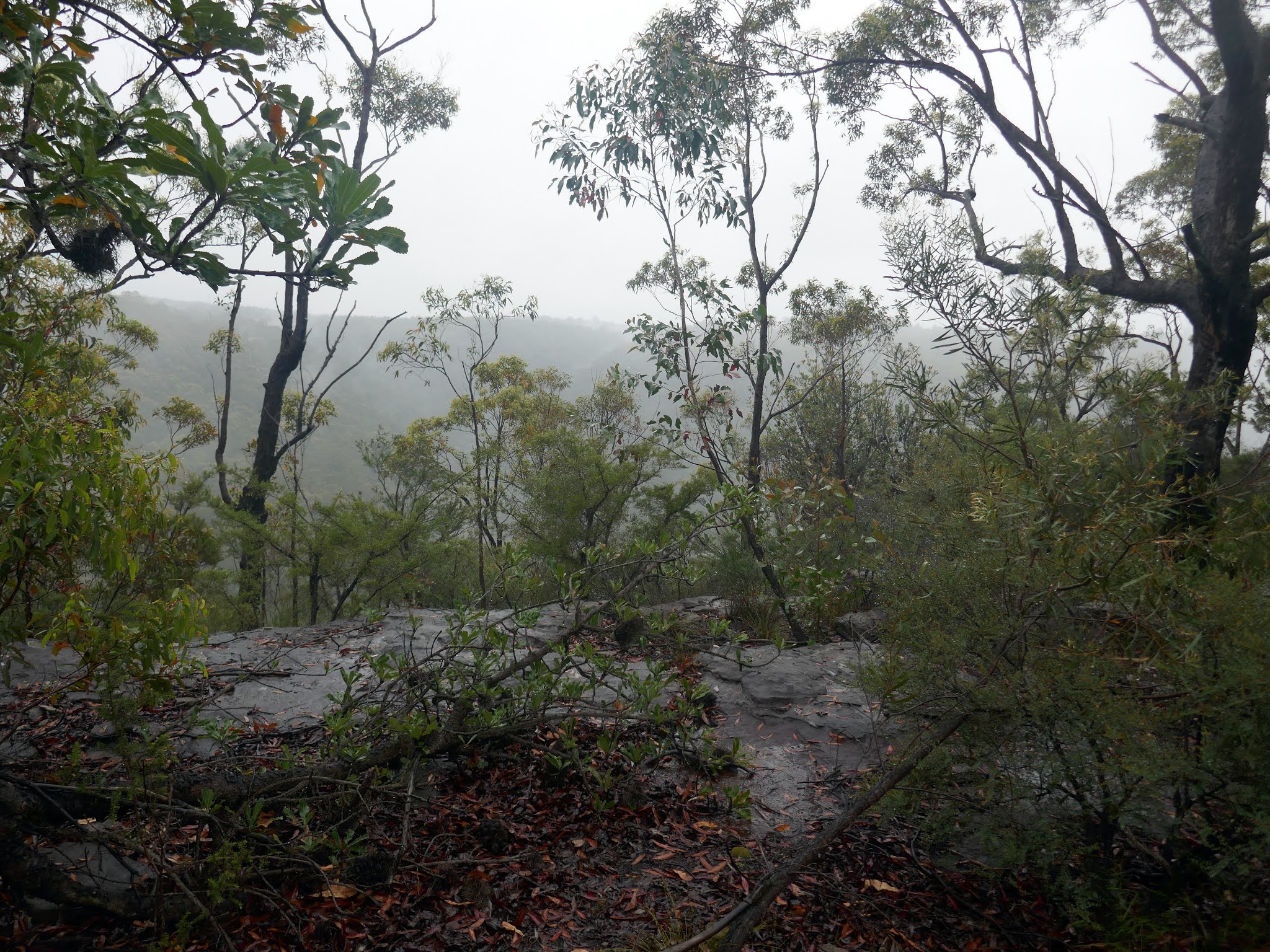All The Gear But No Idea Sassafras Gully & Pippas Pass via the Victory Track