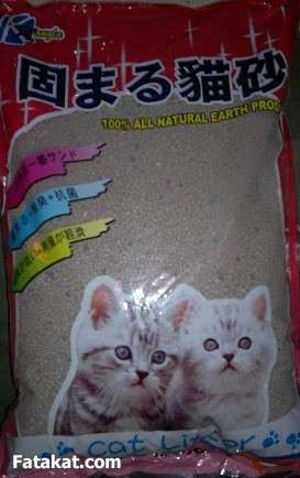 توفير المال لتربية القطط المنزلية