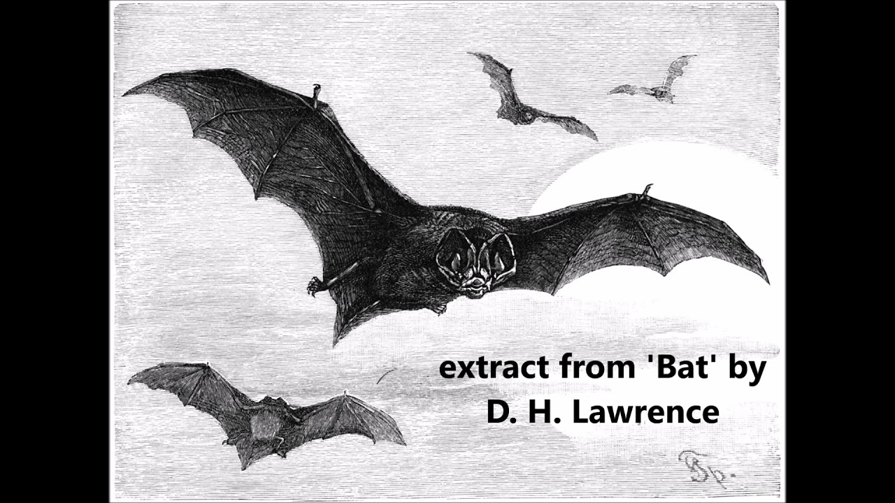 Bat By David H. Lawrence Summary & Analysis [NonAfrican Poetry]