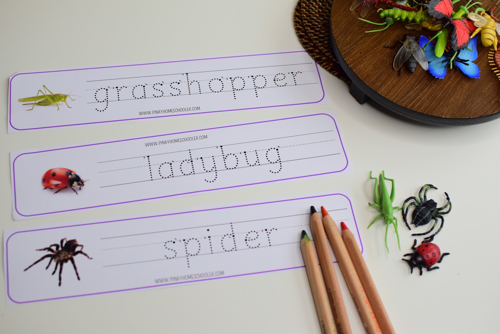 Insect Themed Lesson Plans for Kindergarten to First Grade | The Pinay