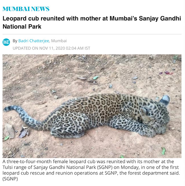 sanjay gandhi national park mumbai borivili