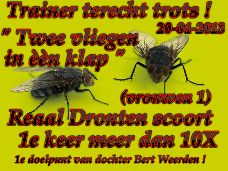 Jos TheBoss Posters: TRAINER BERT WEERDEN: " TWEE VLIEGEN IN ÈÈN KLAP