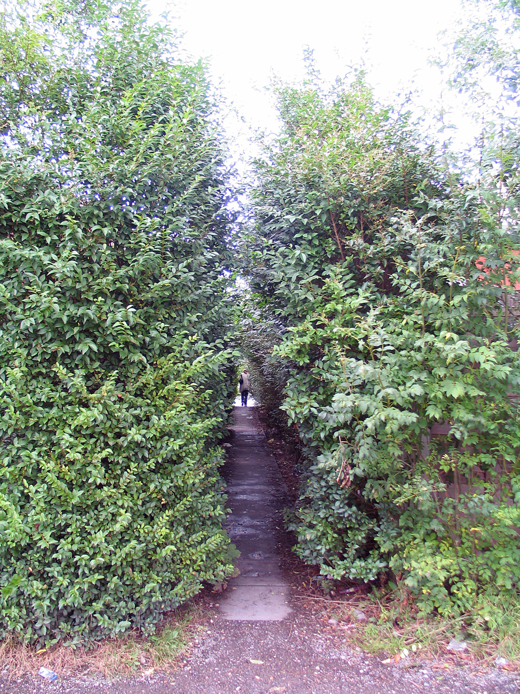 The Farnworth Photographic Project 30th August 2011 Ginnel Between