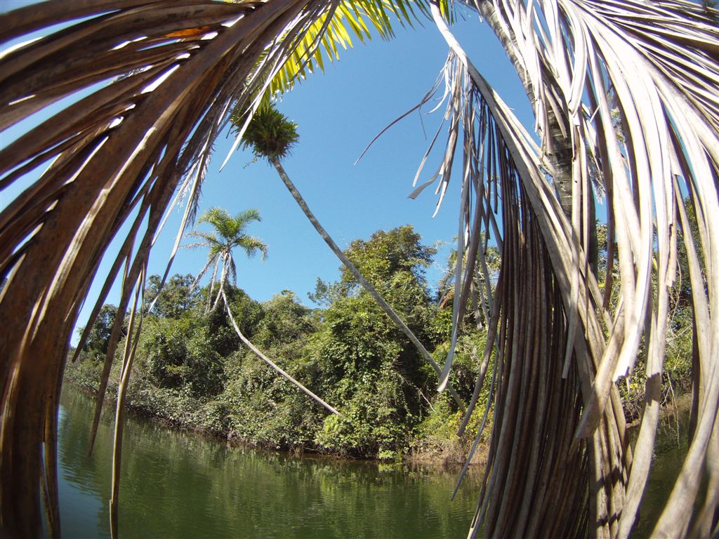Aventuras Submarinas por Marcelo Ambrogi GOPRO hero 2 Adventure