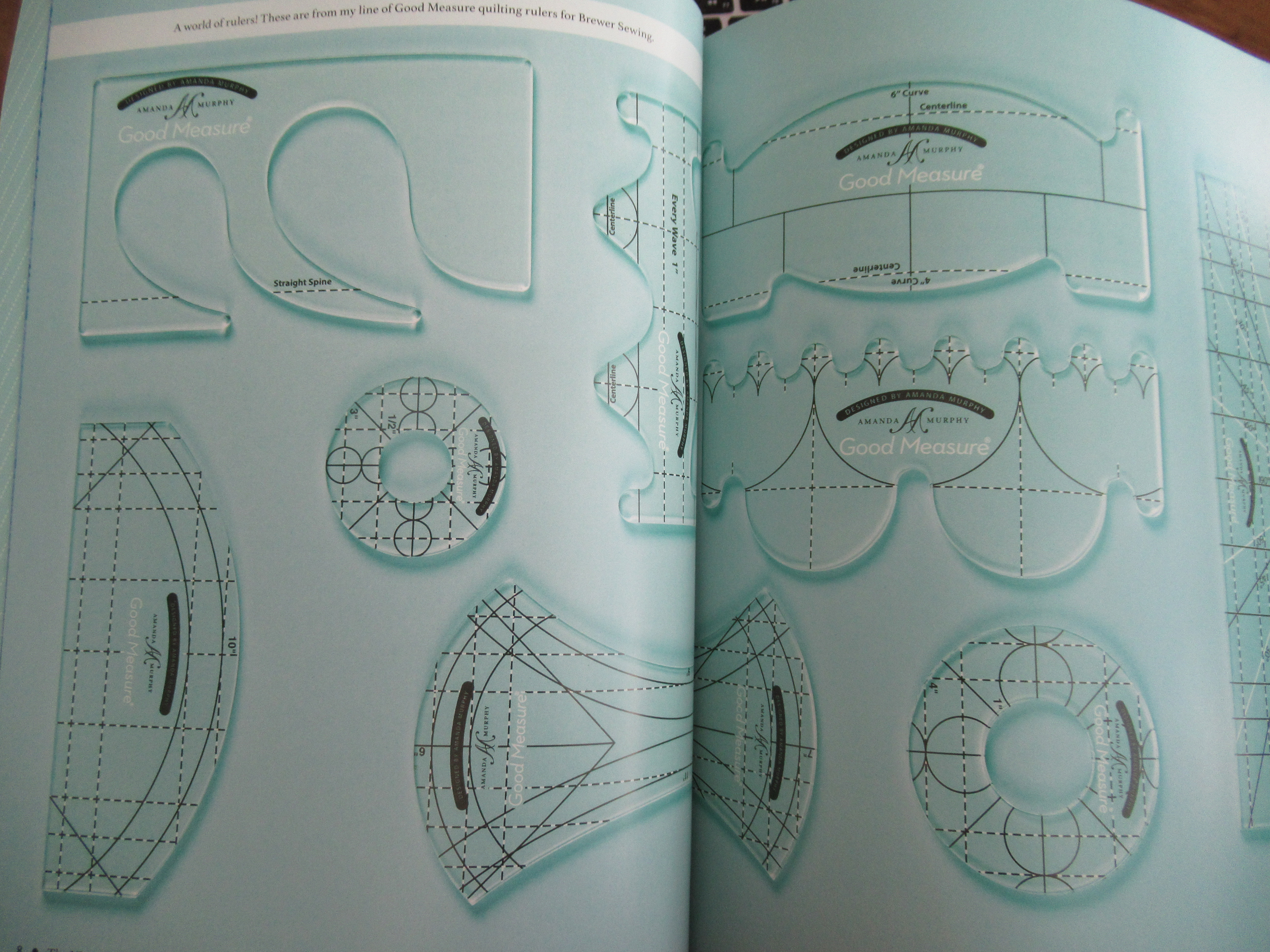 Flourishing Palms Rulerwork Quilting Book A Review