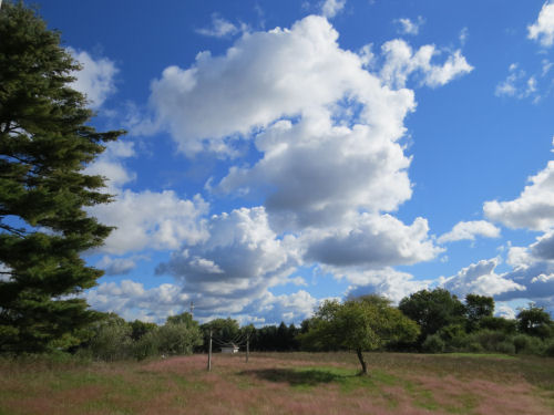 sky with clouds