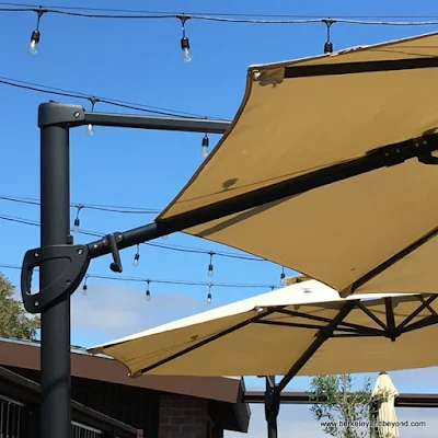 patio umbrellas at Bella Siena restaurant in Benicia, California