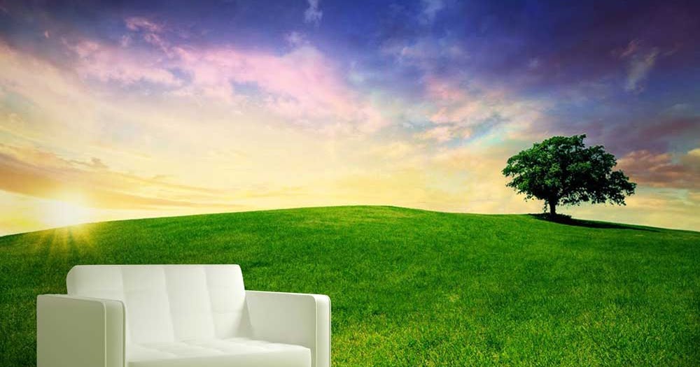 Custom Wall Murals For Walls Nature Wallpaper For Walls