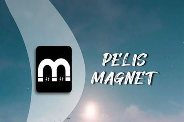 pelis magnet