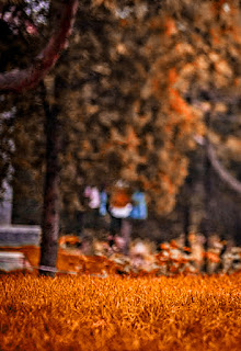 CB Editing Background