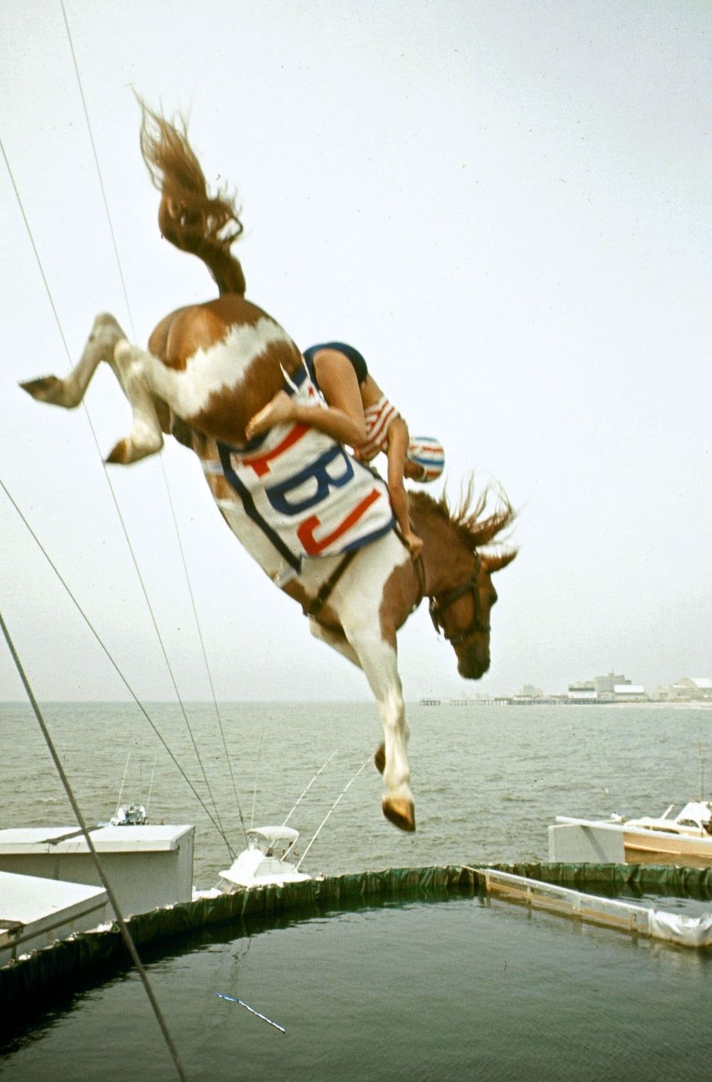20 Incredible Vintage Photographs of Women Diving Horses in Atlantic City From the Early 20th