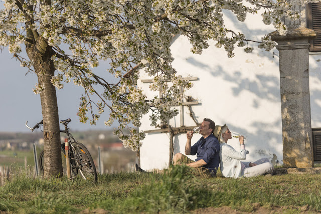 Genussradeln in Niederösterreich