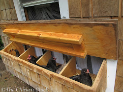 chicken nest coop box chick boxes laying egg hens eggs diy coops lay per solution tv buckets hen broody supplies
