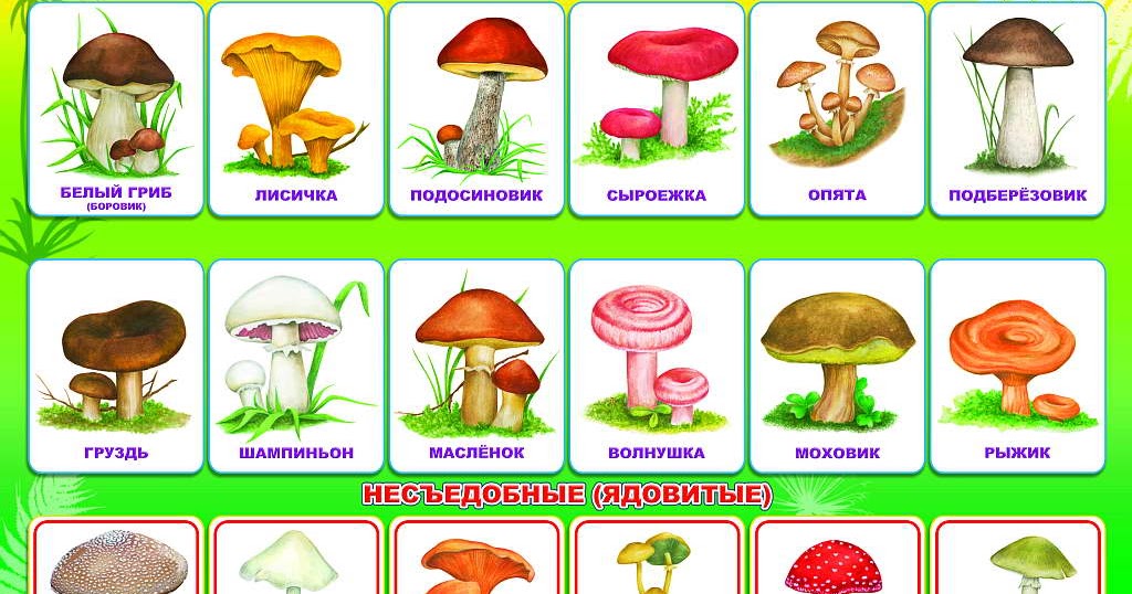 Носова Татьяна Дмитриевна. Учитель МКОУ "Специальная школа № 53": 22.05 ...