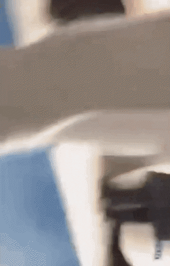 이미지에 대체텍스트 속성이 없습니다; 파일명은 PerfectFaroffCats-size_restricted.gif 입니다.