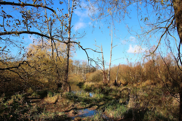  StadtLandLebenslust: Sonntagsspaziergang am Tegeler Fließ Bildidee 