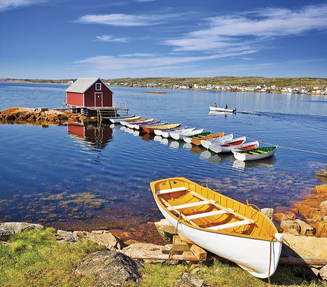 NLRunning Fogo Island Half Marathon Sep 3 Registration Open! NLRunning Fogo Island Half Marathon Sep 3 Registration Open!