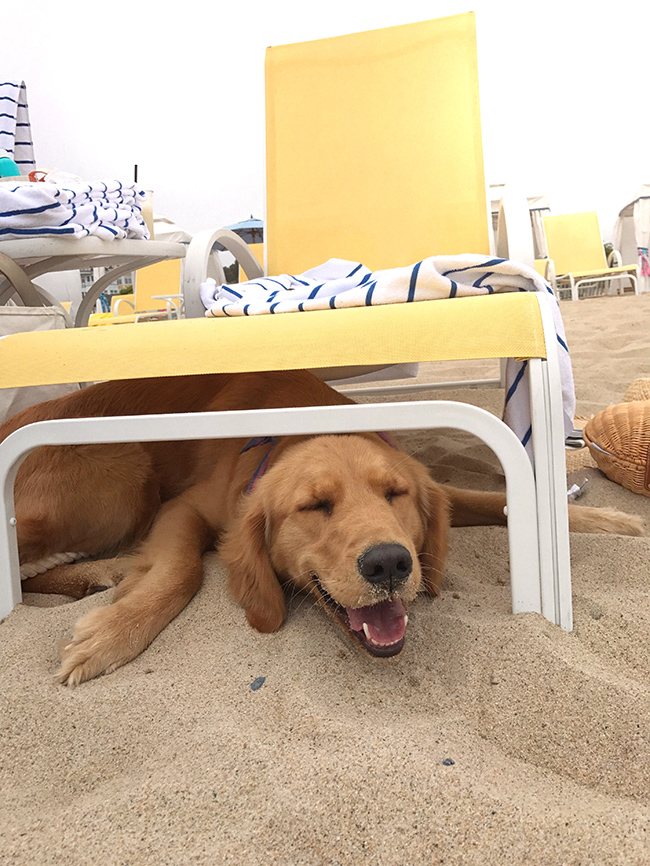 Watch Cold Storage Online Forbes Watch Cold Storage Online Forbes