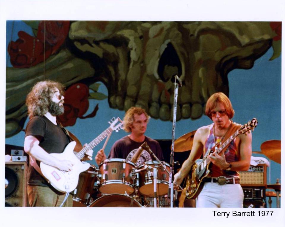 Grateful Dead 1977 The Rise of Terrapin Nation Busy Being Born The