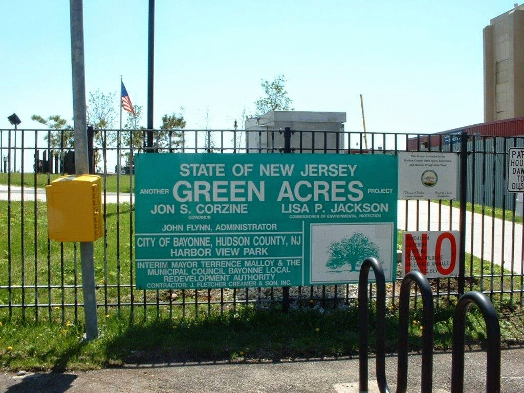 Tea 101 How To Brew Flowering Tea Blooming Tea Flower Tea Tea