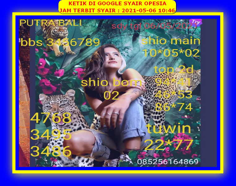 gambar togel sydney