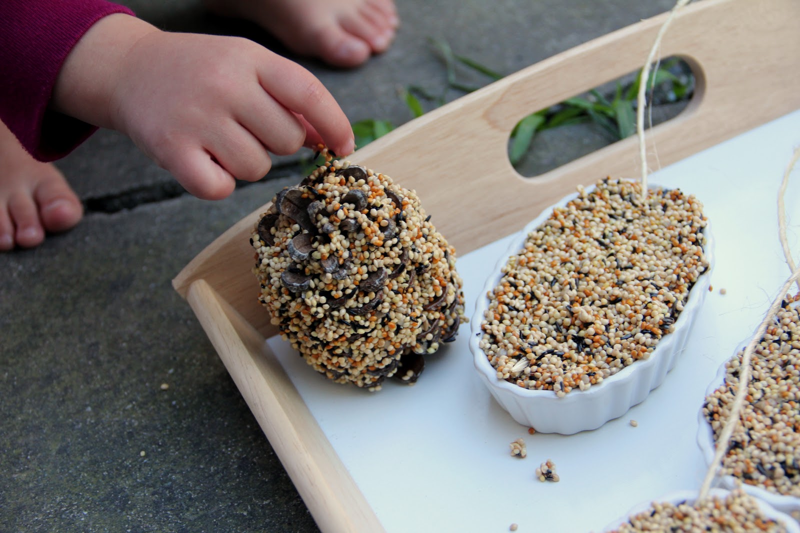 More Fun With An Apron hanging bird seed "cakes"
