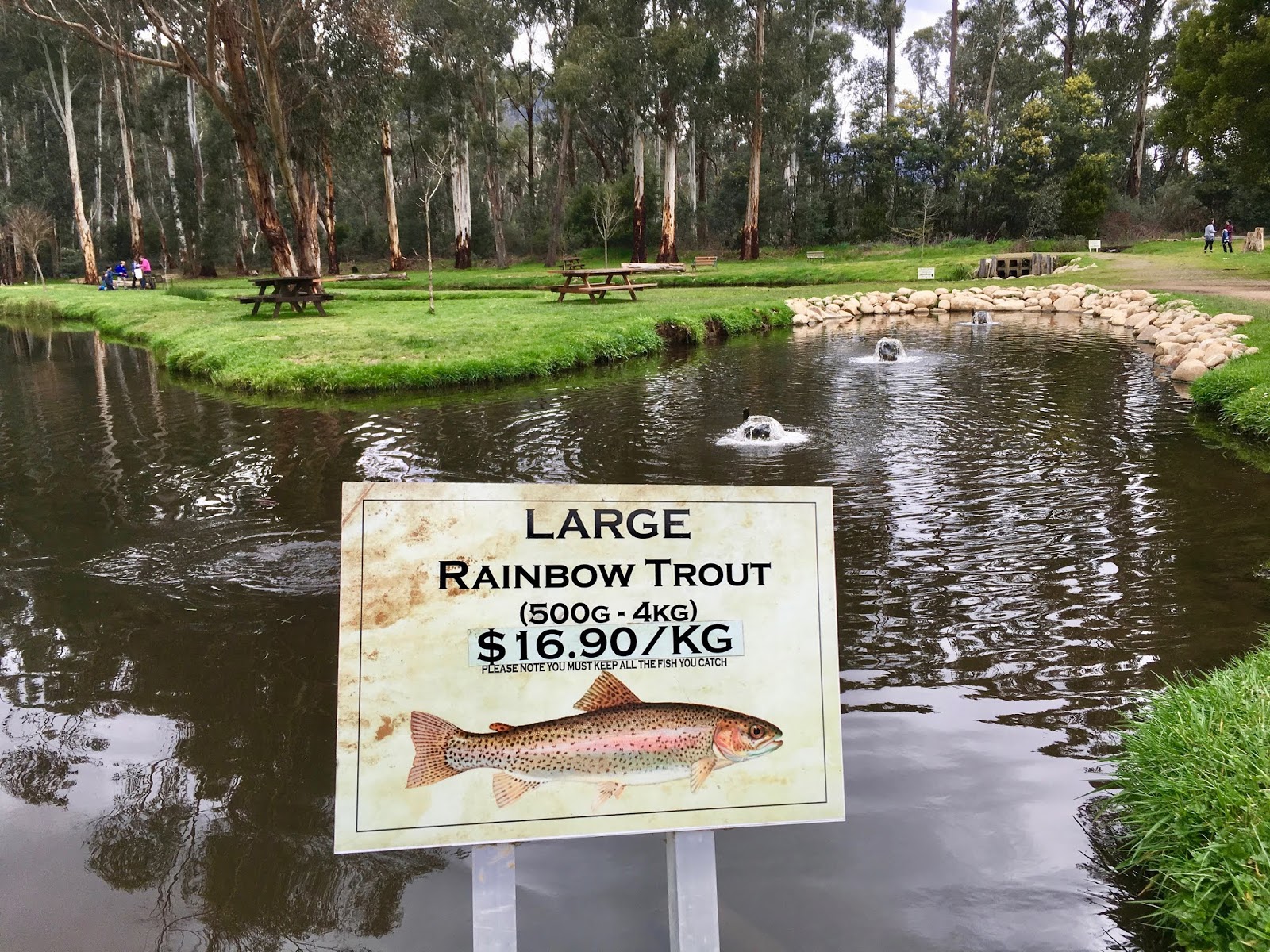 RDO Melbourne Yarra Valley