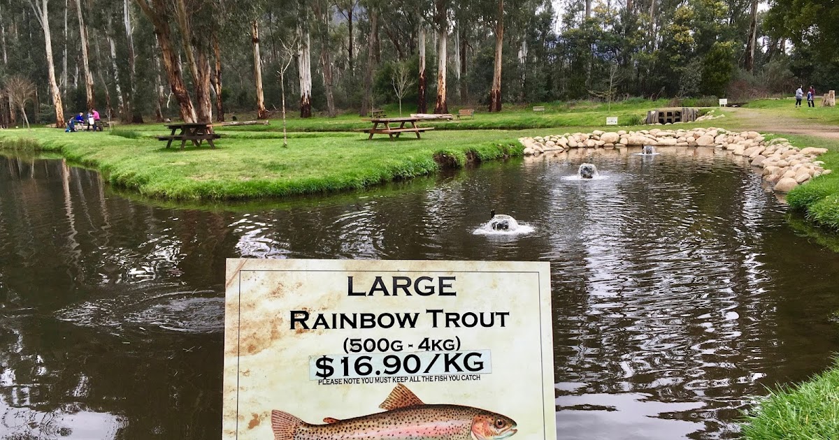 RDO Melbourne Yarra Valley