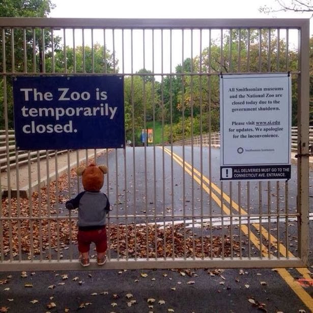 THE ZOO IS CLOSED... and when I say "zoo" I mean Federal Government