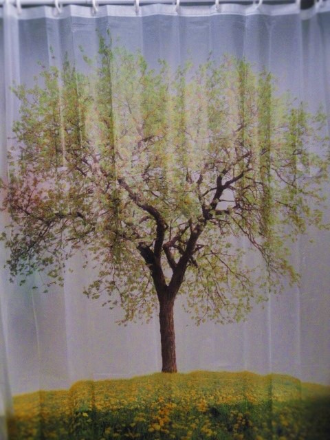 Janie S Pocono Mountain Garden February 2016