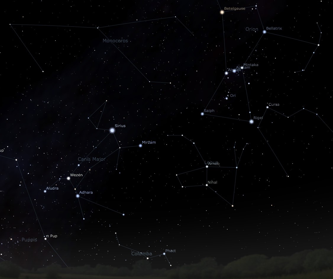 Созвездие constellation 2024. Canis Major Созвездие. Созвездие большого пса. Звезда Беллатрикс Ориона. Созвездие пса Сириус.