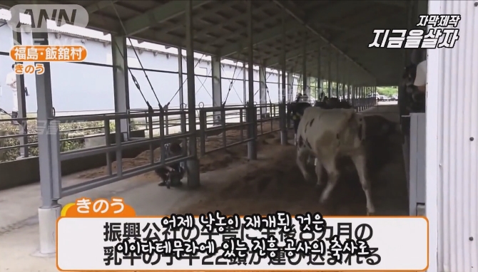 후쿠시마 방사능 우유 생산 시작 | 인스티즈