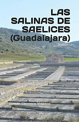 LAS SALINAS DE SAELICES