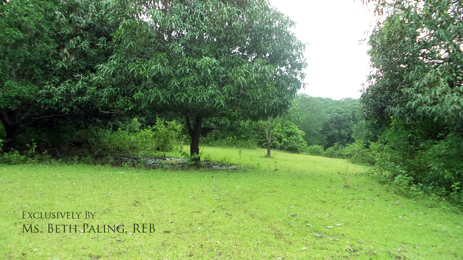 Pangasinan Properties Land for sale in Capulaan, Villasis, Pangasinan
