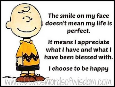 Image result for advice from charlie brown