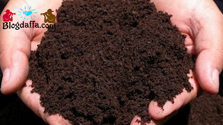 Cara menyuburkan tanah menggunakan pupuk kompos