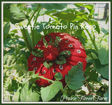 Sweetie Tomato Pin Keep