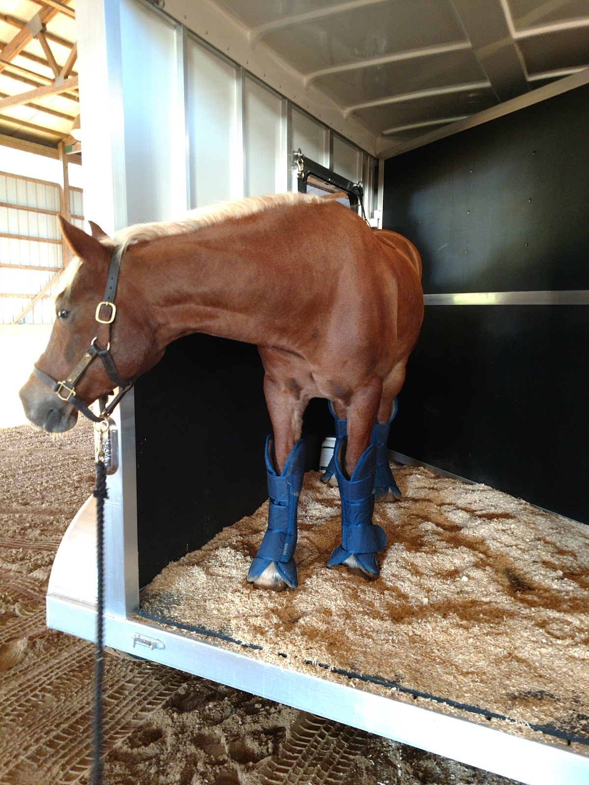 Cob Jockey Adding a Ramp to a StepUp Shadow Trailer