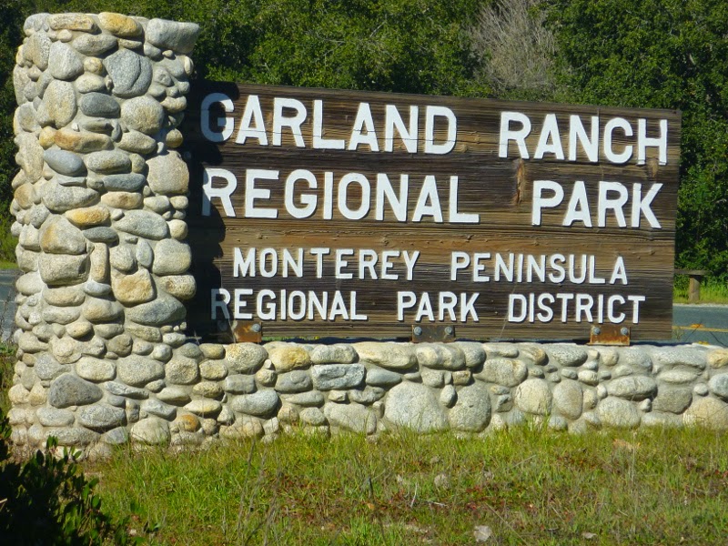 Trailing Ahead A perennial hiking & naturestudy destination Garland