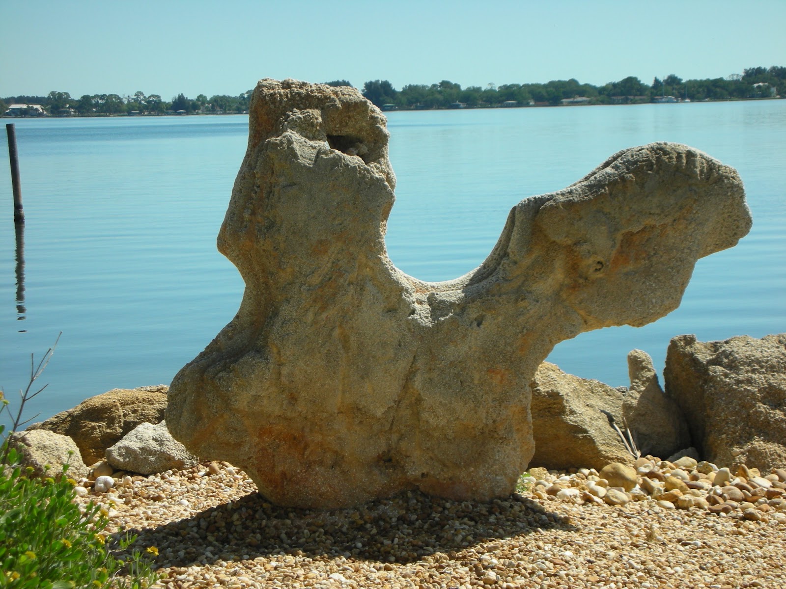 Reflections Coquina Art