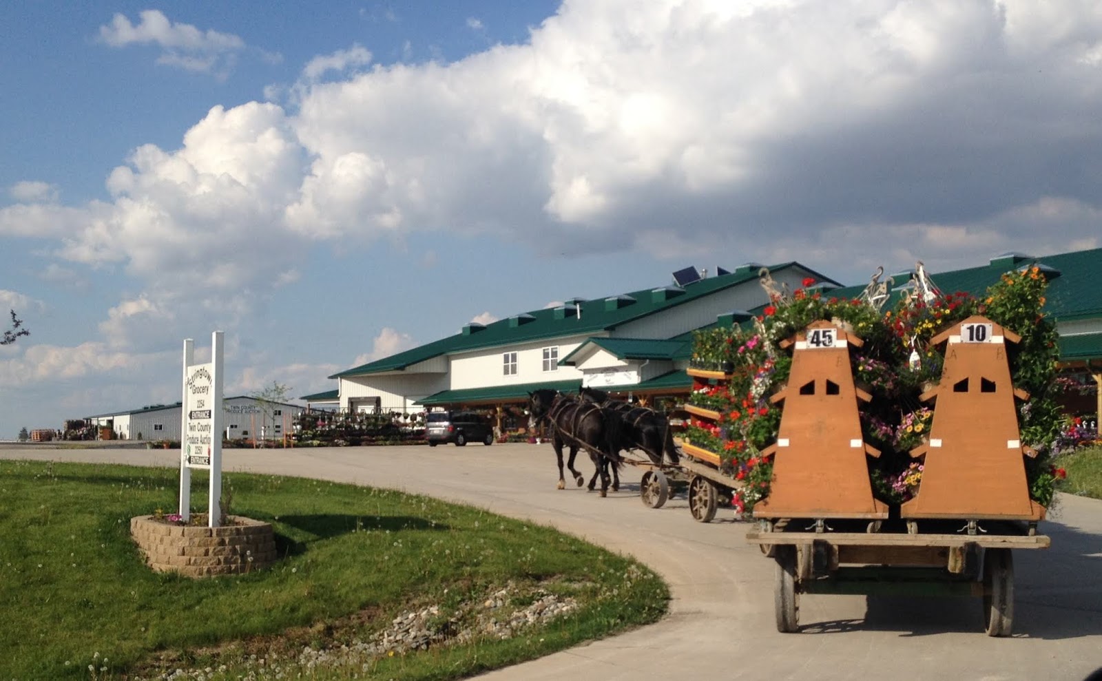 Amish Horses Amish Garden Tour