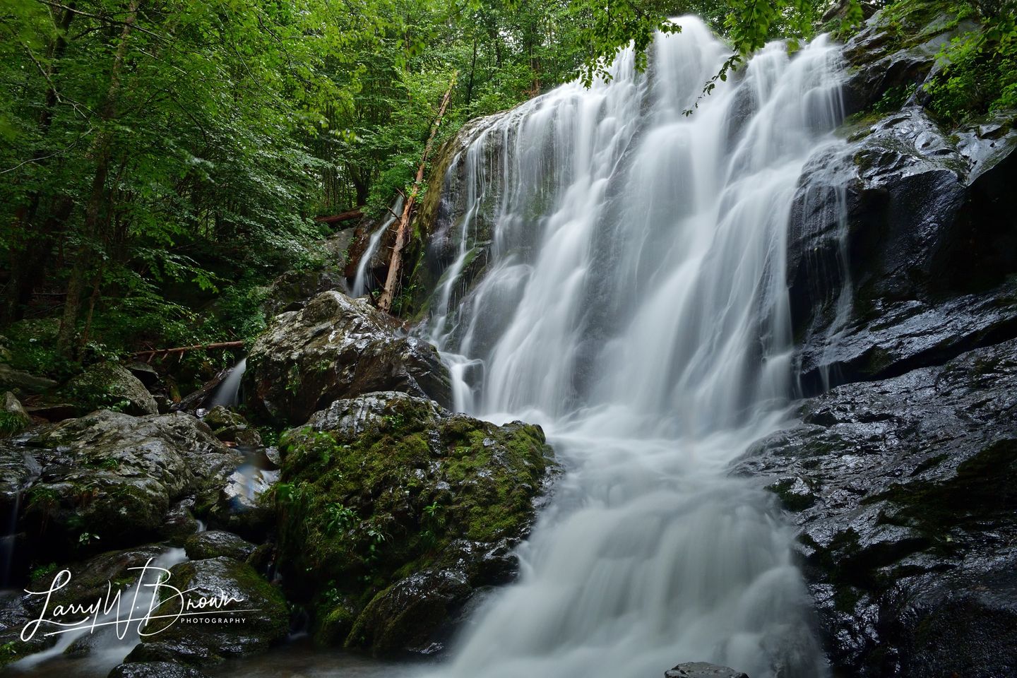 Shenandoah National Park Waterfalls - Dark Hollow Falls Top