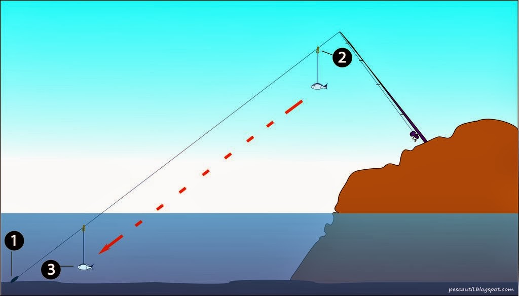 Pesca al vivo con boya Clearance