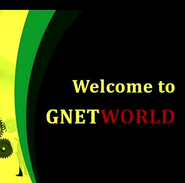Gnetworld business plan 07 picture