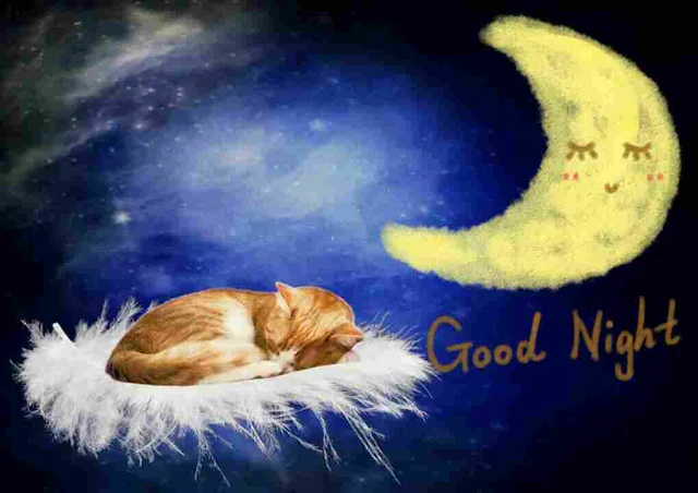 Sweet Dreams Good Night Images, Photos, Greetings and HD Pictures