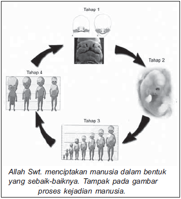 Kandungan Surat At Tin Isi Kandungan Pokok Surat At Tin Surah Ke 95 Kandungan Surat At Tin Isi Kandungan Pokok Surat At Tin Surah Ke 95